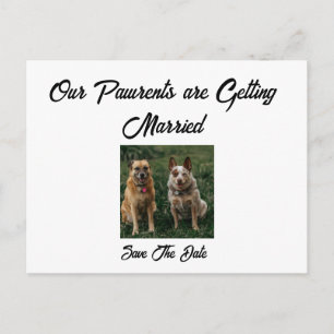 Minimalistische Save-the-Date-Karte von den Hunden Ankündigungspostkarte