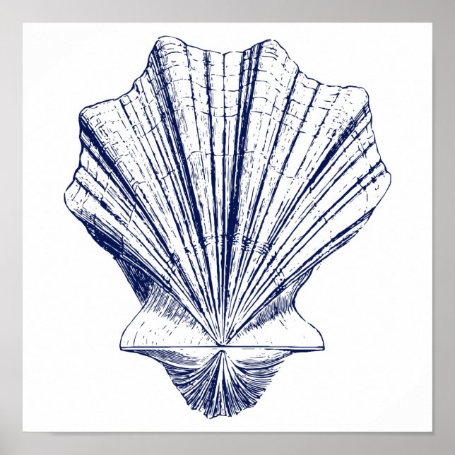 Minimalistische Scallop Seashell in Blau Poster (Vorne)