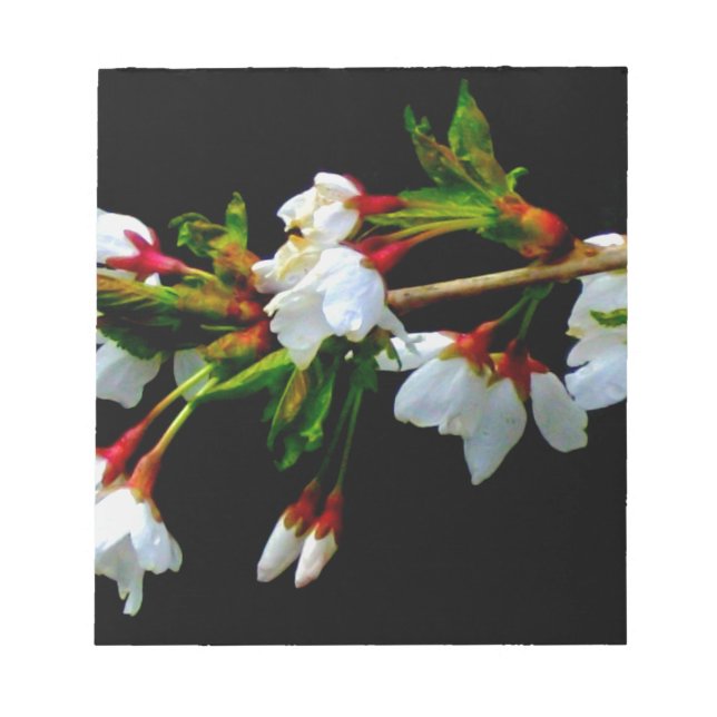 Minimalistische Schwarz-weiße Blüten Kirschblüten Notizblock (Vorderseite)