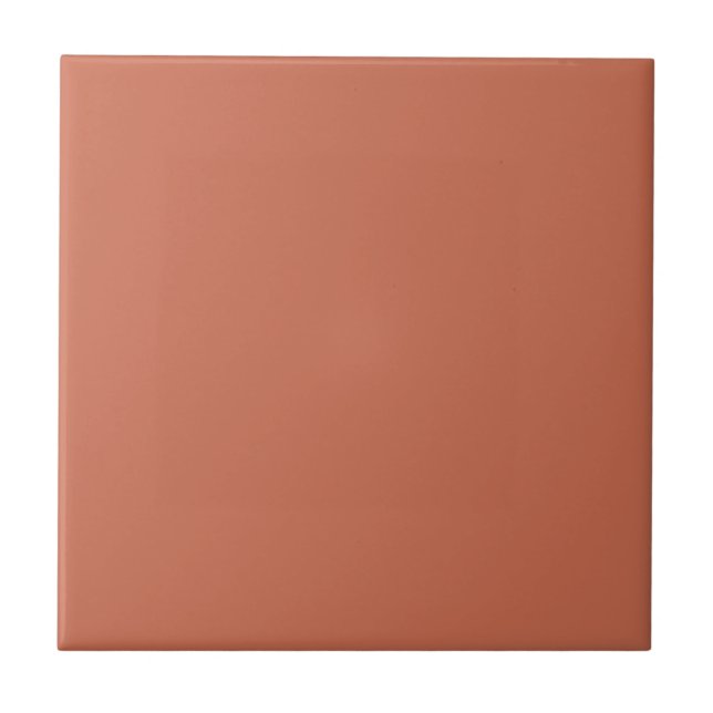 Minimalistische Terracotta Schlichte Solid Color T Fliese (Vorderseite)