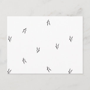 Minimalistische Vogel-Postkarte Schwarz-Weiß-Muste Postkarte