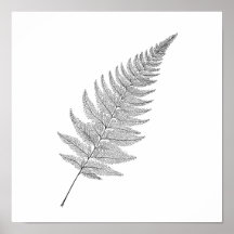 Minimalistischer botanischer Druck: Elegante frakt