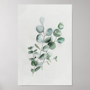 Minimalistischer botanischer Eukalyptus in Wasserf Poster