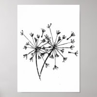Minimalistischer Dandelion Digital Sketch Art Blac