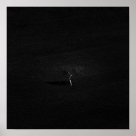 Minimalistischer einsamer Baum in Schwarz-Weiß Poster