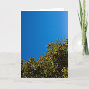 Minimalistischer floraler Vogelbeerbaum Baum des L Karte