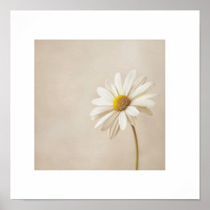 Minimalistischer Gänseblümchen-Blumenposter – Neut Poster