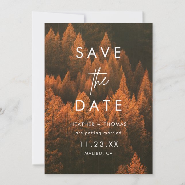 Minimalistischer Herbstwald - Save-the-Date (Vorderseite)