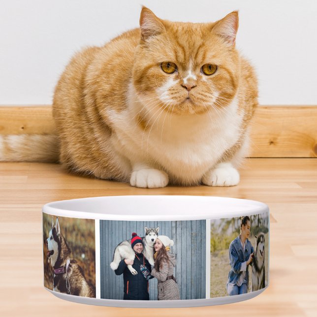 Minimalistischer Hund Katze Foto des Haustieres Es Napf (Von Creator hochgeladen)