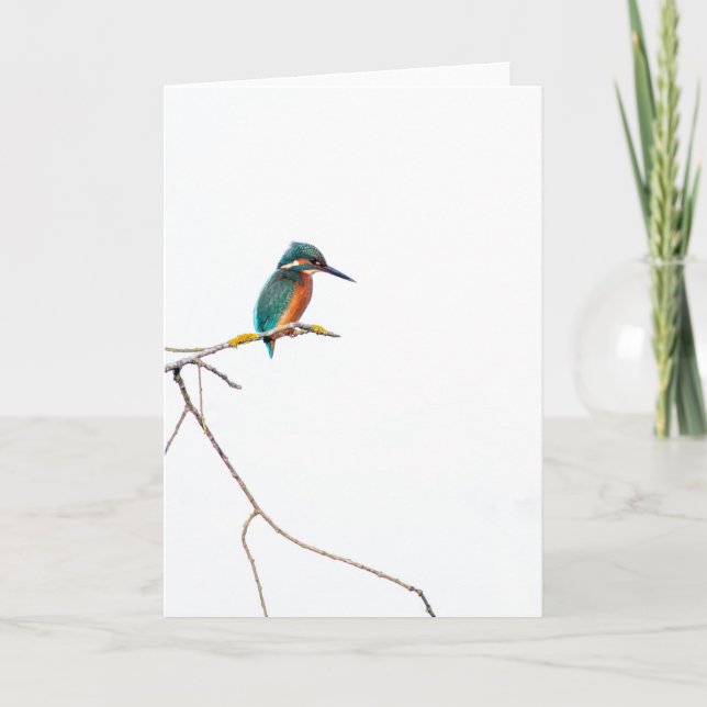 Minimalistischer Kingfisher auf Weiß für Vogelbeob Karte (Vorderseite)