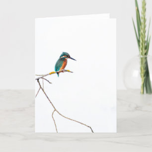 Minimalistischer Kingfisher auf weiß für Vogelbeob Karte
