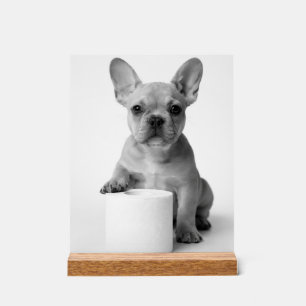 Minimalistischer lustiger französischer Bulldogge Acrylschild
