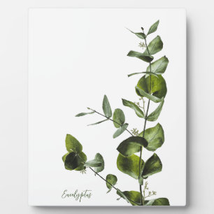 Minimalistisches Elegant Eucalyptus Plaque Fotoplatte