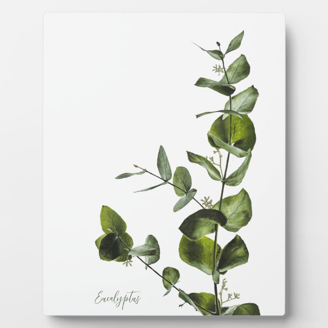 Minimalistisches Elegant Eucalyptus Plaque Fotoplatte (Vorderseite)