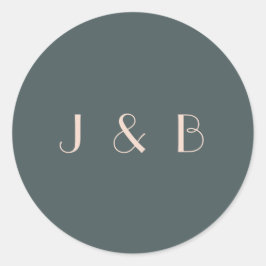 Minimalistisches elegantes Aquamarines Rosa Parco  Runder Aufkleber