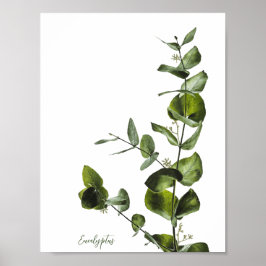 Minimalistisches Eukalyptus-Poster Poster
