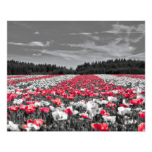 Minimalistisches Farbfoto für die Blume