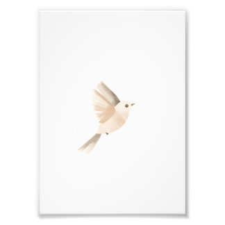Minimalistisches Flugvogelplakat – Sanfte Wandkuns Fotodruck
