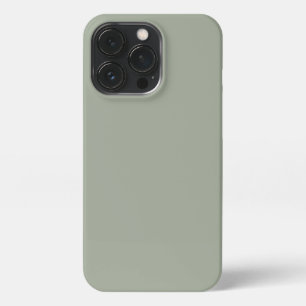 Minimalistisches Grün schlichte Vollfarbe modern iPhone 13 Pro Hülle