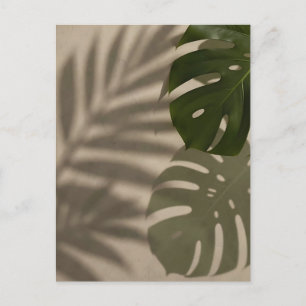 Minimalistisches grünes Monstera-Blatt Tropischer Postkarte