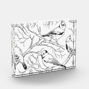 Minimalistisches nordamerikanisches Vögel-Linienku Fotoblock