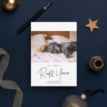 Mininimalist Ruff Year Hunde Foto Urlaub