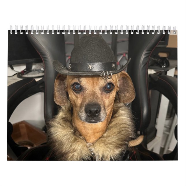 Minionwelt Kalender (Titelbild)