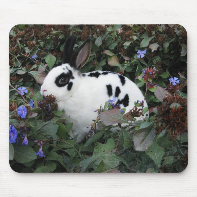 MiniRex Häschen mousepad (Vorne)