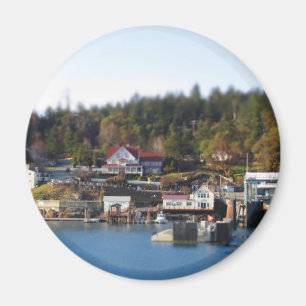 MiniSchwertwale! Magnet