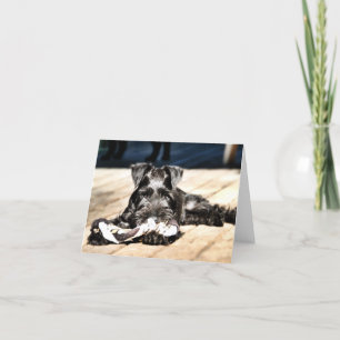 Minitour Schnauzer Note Card #2 - leer Karte