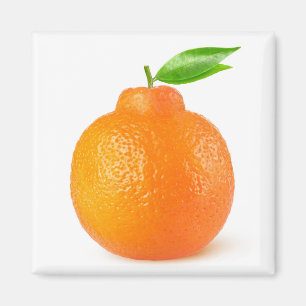 Minneola tangelo citrus frucht magnet