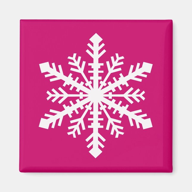 Minnesnowta Snowflake Magnet (Vorne)
