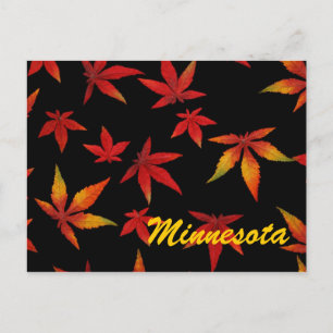 Minnesota Autumn Leaves Postcard Postkarte