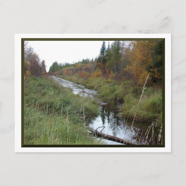 Minnesota Creek/Herbst Postkarte (Vorderseite)