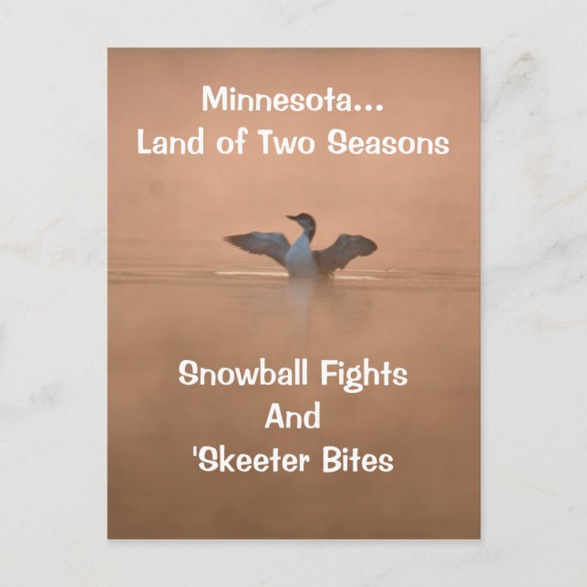 Minnesota...Land der zwei Jahreszeiten Postkarte (Vorderseite)