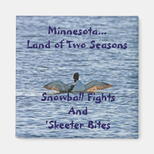 Minnesota-Land von zwei Jahreszeiten Magnet