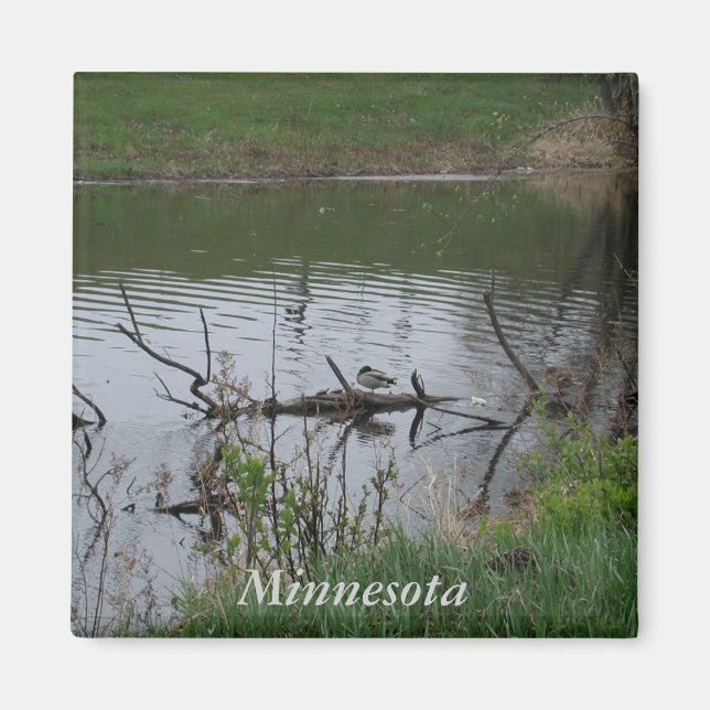 Minnesota Magnet (Vorne)