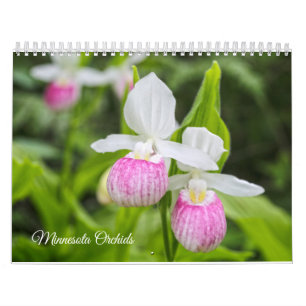 Minnesota-Orchideenkalender Kalender