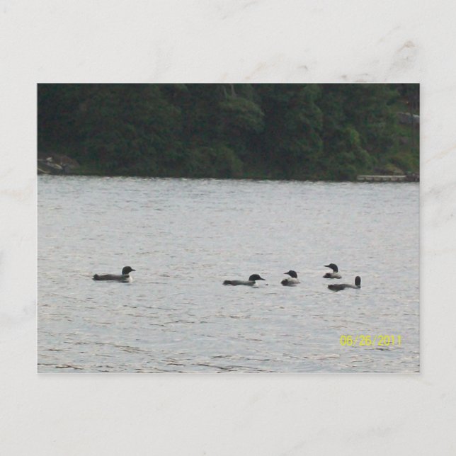 Minnesota Postkarte (Vorderseite)