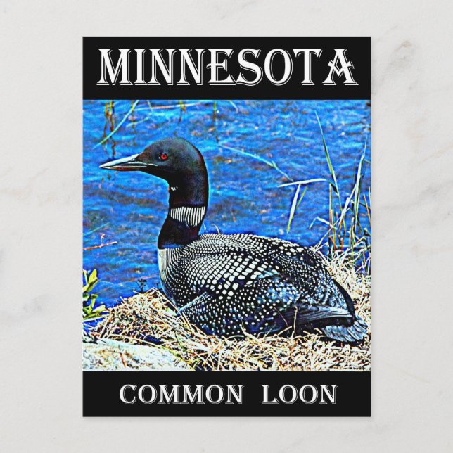 Minnesota Postkarte (Vorderseite)