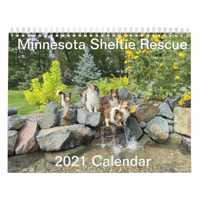 Minnesota Sheltie Rescue 2021 Kalender (Titelbild)