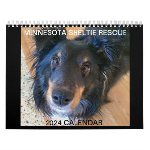 MINNESOTA SHELTIE RESCUE 2024 KALENDER
