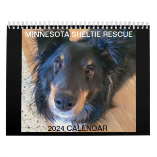 MINNESOTA SHELTIE RESCUE 2024 KALENDER