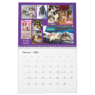 Minnesota Sheltie Rescue Calendar 2025 Kalender