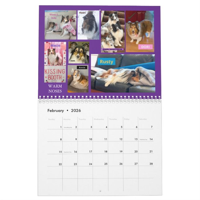 Minnesota Sheltie Rescue Calendar 2025 Kalender (Feb 2026)