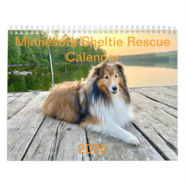 Minnesota Sheltie Rescue Calendar 2025 Kalender (Titelbild)