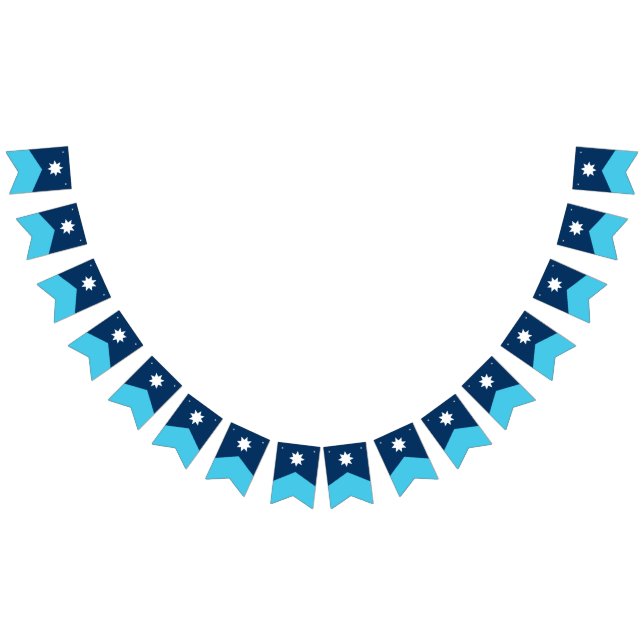 Minnesota State Flag Pennant Bunting Wimpelkette (Alle)