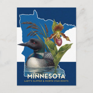 Minnesota-Symbolfiguren: Seetaucher und Wildblumen Postkarte