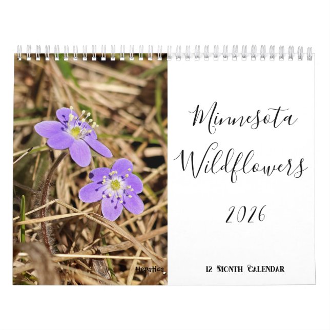Minnesota Wildblume 2026 12 Monatsmauer Kalender (Titelbild)