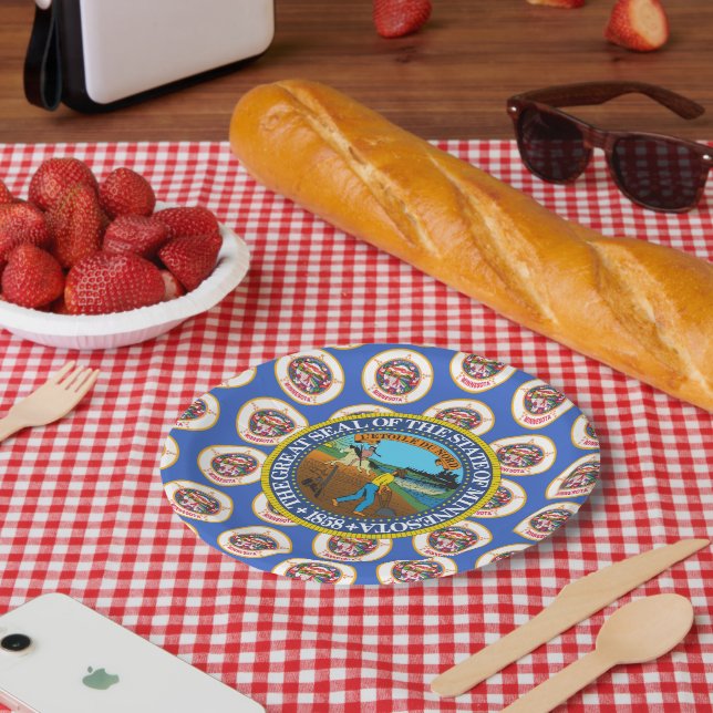 Minnesotan Flag & Seal, Minnesota Pappteller (Picknick)